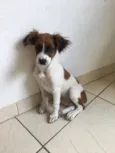 Nina