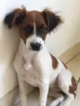 Nina
