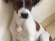 Nina
