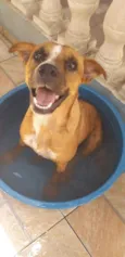 Mel