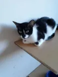 Nina