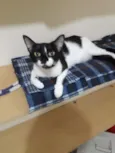 Nina
