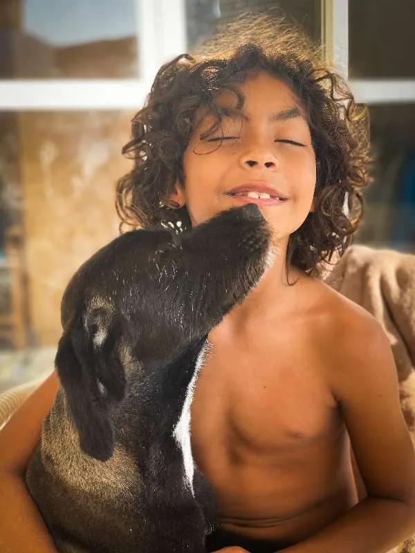 Cachorro ra a Viralata idade 7 a 11 meses nome ALEX