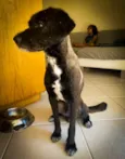 ALEX