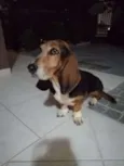 Molly