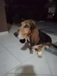 Molly