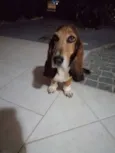 Molly