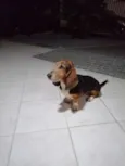 Molly