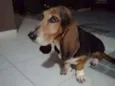 Molly