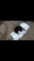 Não tem