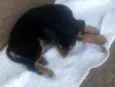 Não tem