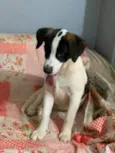 Anita
