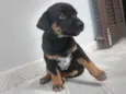 Docinho e Lindinha