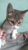 Neném
