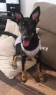 Pity e Judy