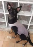 Pity e Judy