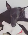 Batman!