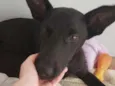 Batman! 