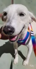 SPIKE