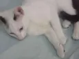 bebê