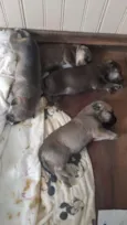 Eles não tem nome ai