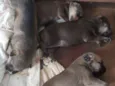 Eles não tem nome ai