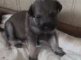 Eles não tem nome ai