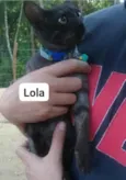 Lola