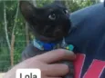 Lola