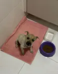 Não sei