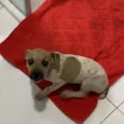 Não sei