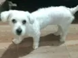 Mel
