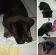 Não sei