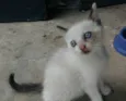 Manu e Bibi