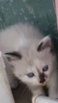 Manu e Bibi