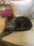 Óliver