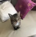 Óliver