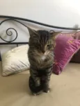 Óliver