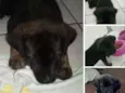 Não sei