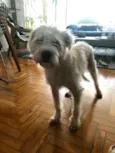 Heráclito