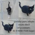 Não sei