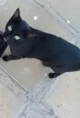 Não sei