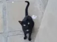 Não sei