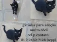 Não sei