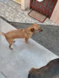 Não sei