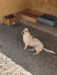 Nao sei