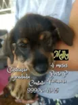 Molly