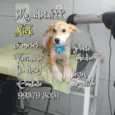 Nick