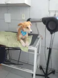 Nick
