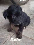 Marley 